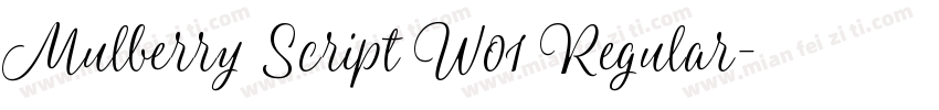 Mulberry Script W01 Regular字体转换